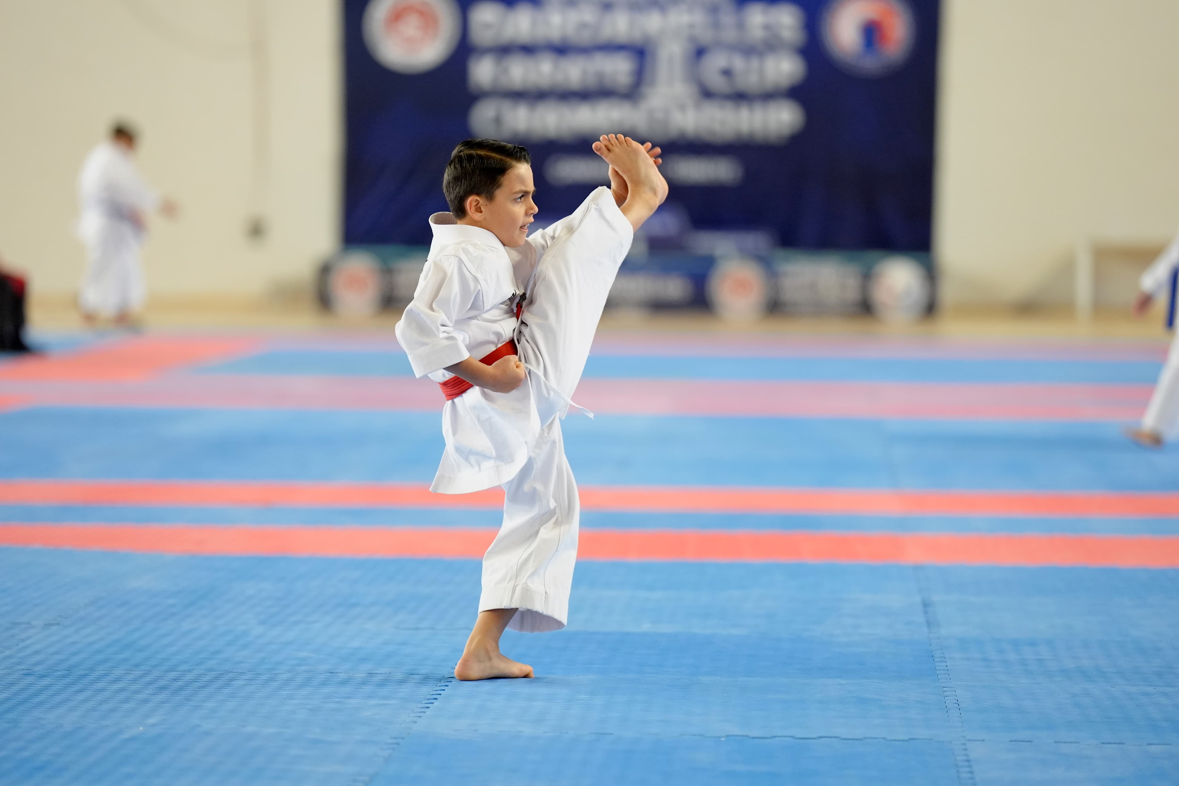 Side kick during a kata performance, Dardanelles Cup 2025